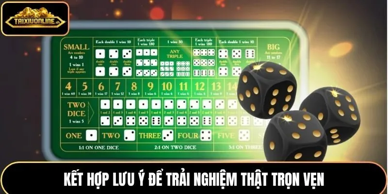 Kết hợp lưu ý để trải nghiệm thật trọn vẹn