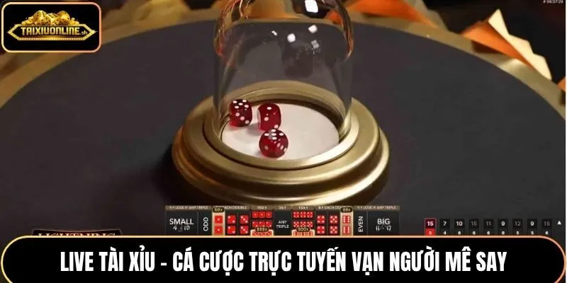 live tài xỉu