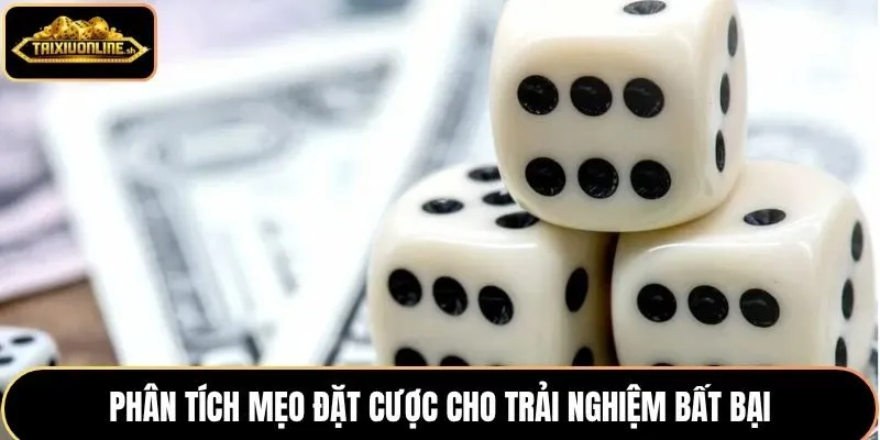Phân tích mẹo đặt cược cho trải nghiệm bất bại